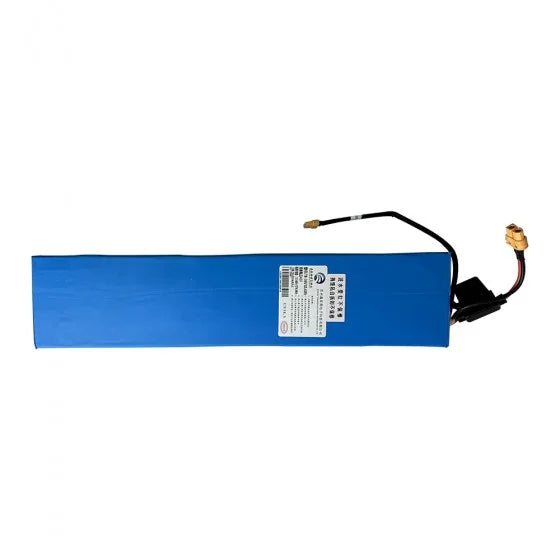 batterie-36v-105ah-z8_1 trottissime alencon