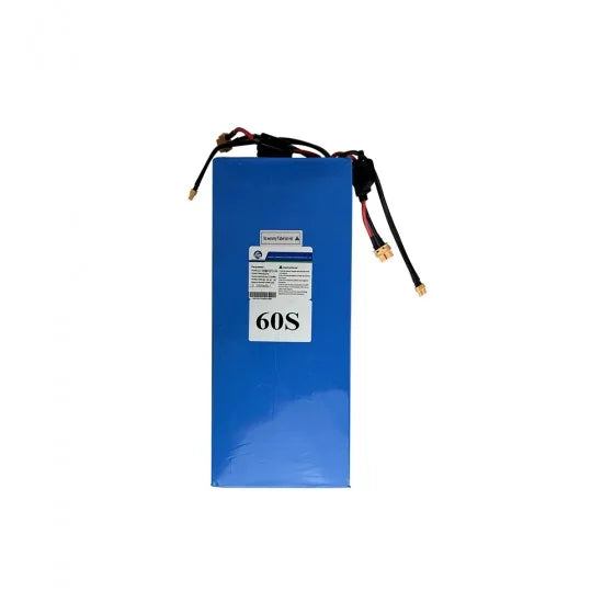 batterie-60v-21ah-z10x_1 trottissime alencon