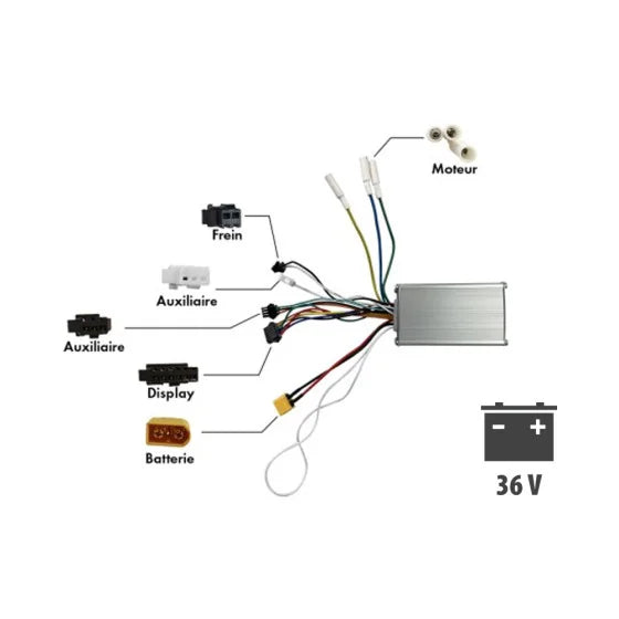 controleur-36v-pour-z8 trottissime alencon