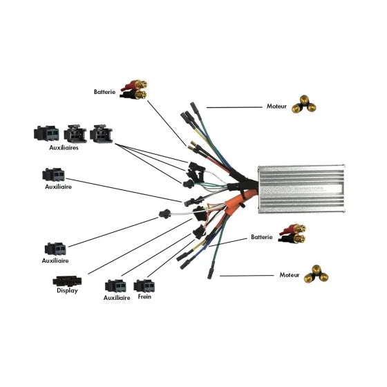 controleur-dualtron-3 trottissime alencon